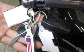 HARLEY RH975 2023