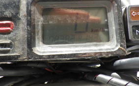 YAMAHA TT250R RAID 4GY