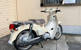 HONDA SUPER CUB50