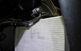 YAMAHA YZF-R25 A 2007 RG74J