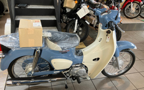 HONDA SUPER CUB50 AA09
