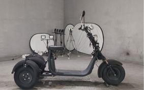 OTHER DENDOU TRIKE  ..