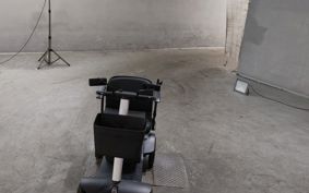 OTHER WIRU MODEL S ..