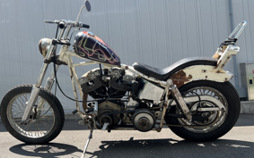 HARLEY FXE1200 2024 445