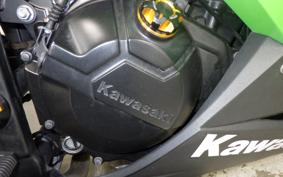 KAWASAKI NINJA 250