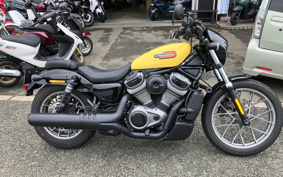 HARLEY RH975Sナイトスター 2024 ZF1