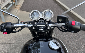 TRIUMPH BONNEVILLE T100 2025 D4BG25