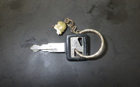 HONDA CBR250R GEN 2 MC19