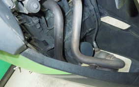 KAWASAKI NINJA 250 ABS EX250L