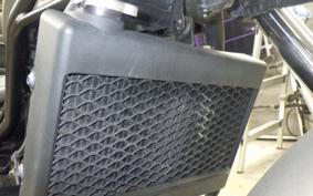 HONDA REBEL 250 2010 MC49