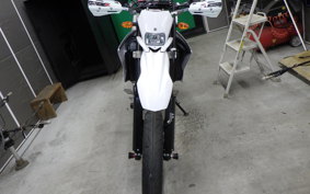 YAMAHA WR250X 2020 DG15J
