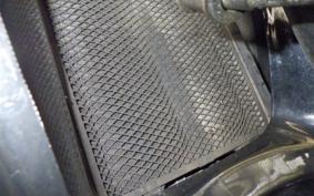 KAWASAKI ZZ-R250 EX250H