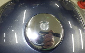 KAWASAKI W800 2023 EJ800E