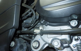 HONDA ﾀﾞﾝｸ 2010 AF78