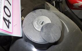 HONDA CRM250R GEN 2 MD24