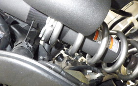 KAWASAKI KLX250D TRACKER X 2025 LX250V