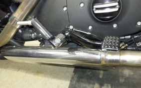 HARLEY XL883N 2017