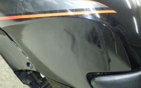 KAWASAKI GPX250R