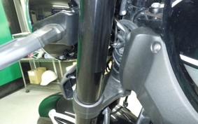 KAWASAKI Z900RS 2021 ZR900C