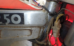 GASGAS JTR 250 CONTACT