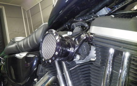 HARLEY XL883N 2015