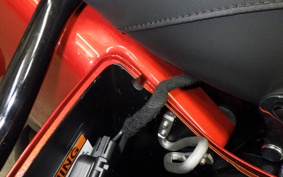 HARLEY FLTRX1920 2024