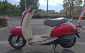HONDA CREA SCOOPY AF55