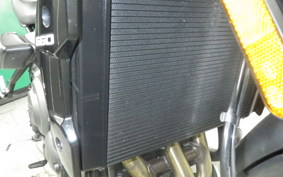 TRIUMPH TRIDENT 660 2025