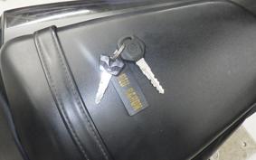 YAMAHA YZF-R25 A RG43J