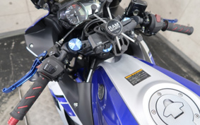 YAMAHA YZF-R25 RG10J