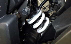 KAWASAKI Z250 SL 2009 BR250E
