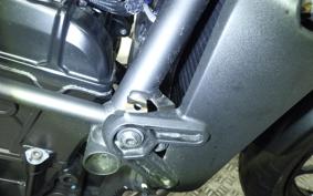 KAWASAKI ELIMINATOR400-3 2024 EL400A