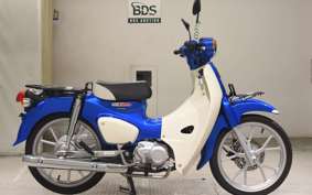 HONDA C110 SUPER CUB 2008 JA59