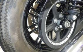 HARLEY XL1200XS 2019
