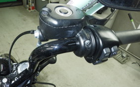 HARLEY XL1200XS 2019