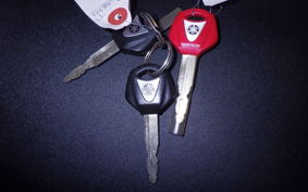 YAMAHA FZ1 FAZER 2009 RN21J