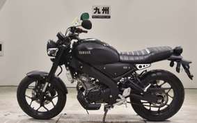 YAMAHA XSR155 2024