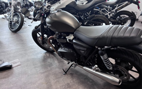 TRIUMPH STREET TWIN 2023 DAD74G
