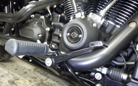 HARLEY FXLRST1920 2025