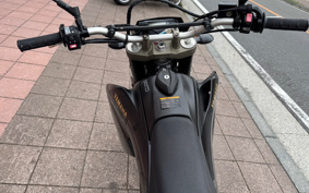 YAMAHA WR250X DG15J