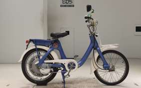 HONDA LITTLE 2019 P25