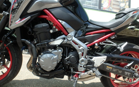 KAWASAKI Z900 2019 ZR900B