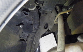 HONDA LEAD 110 2010 JF19