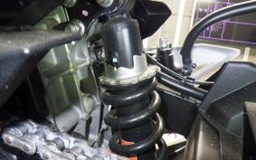 KAWASAKI NINJA 250 EX250P