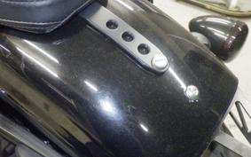 HARLEY XL1200CX 2020