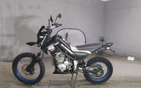 YAMAHA TORITSU CAR DG10J