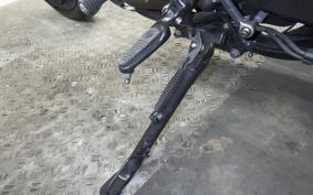 HARLEY XG750 STREET ROD 2019