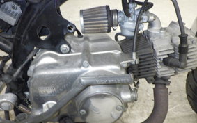 HONDA MONKEY 2020 Z50J
