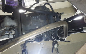 KAWASAKI KLX250D TRACKER X 2023 LX250V