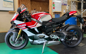 DUCATI PANIGA-REV4 TRICOLOR 2026 5D00